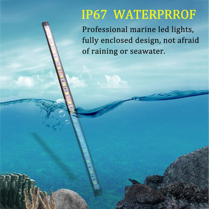 Boat Lights for Night Fishing, Adhesive Install Boat Deck Light, Interior Light, Flood and Spreader Lights for Pontoon Boats Bass Boats Kayak, White